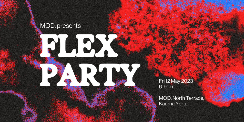 FLEX PARTY