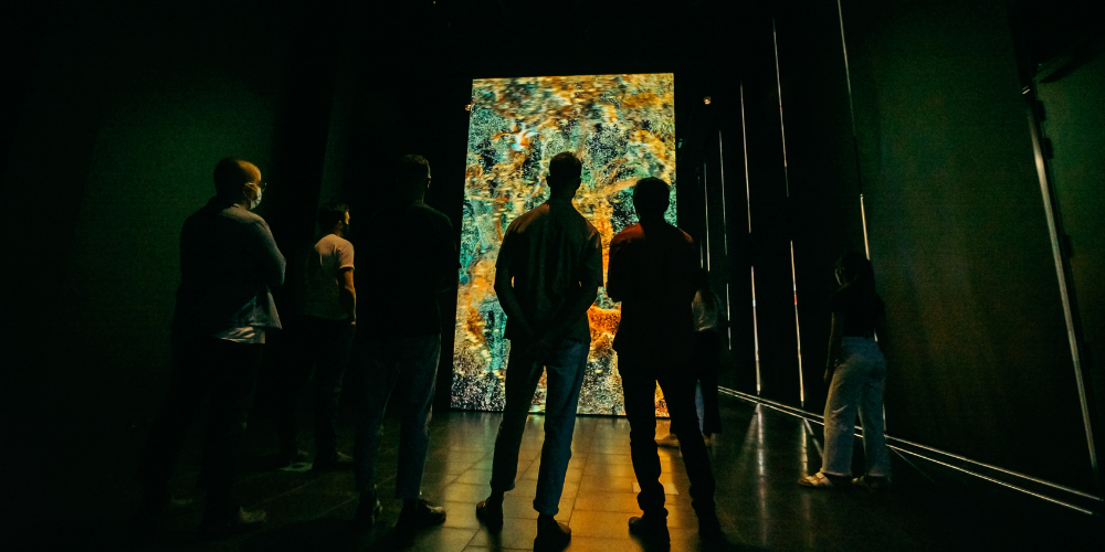 Seven figures stand back to camera, facing a large projection of a point mapped tree.