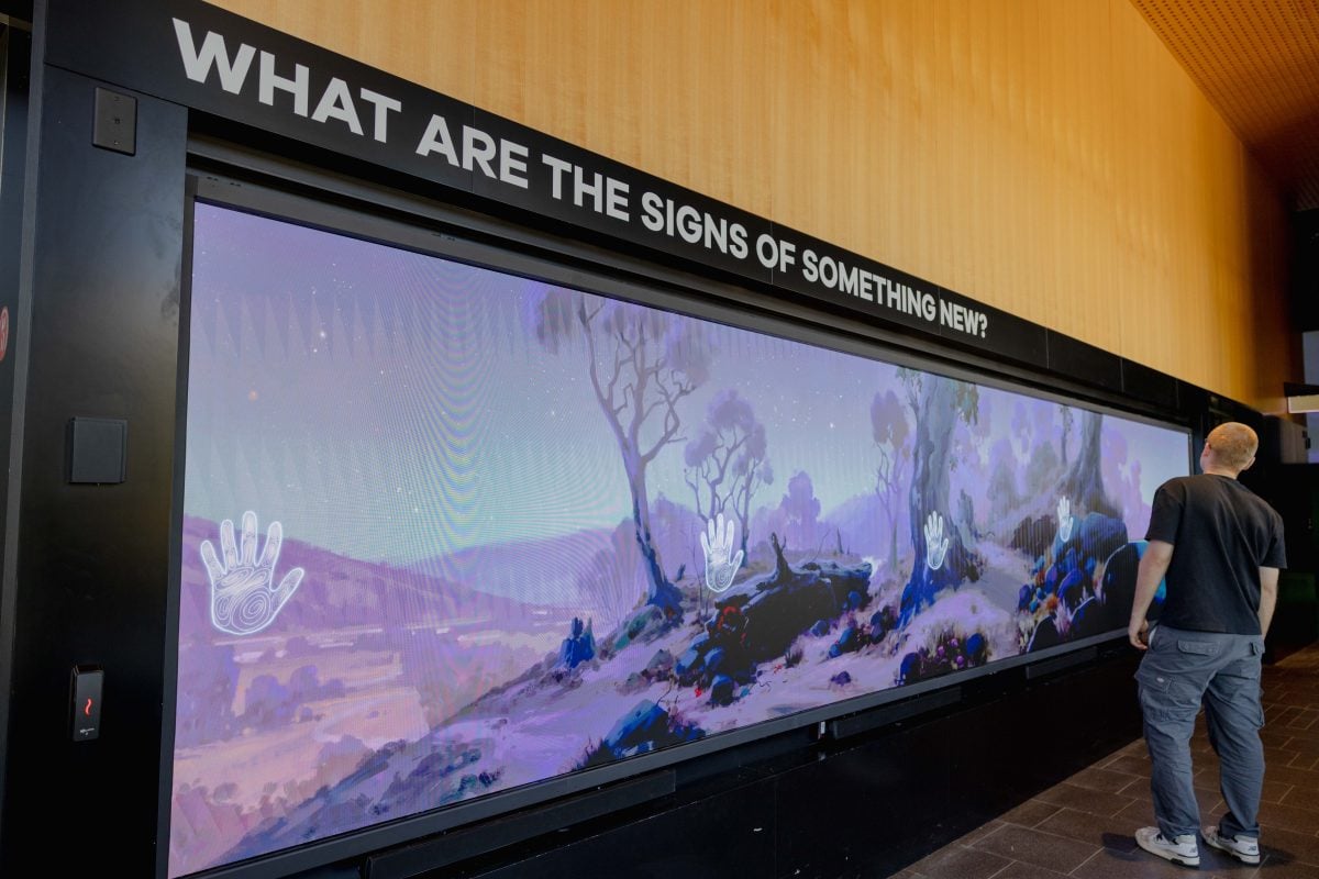 A person looks a a long narrow screen on a corridor wall. The screen has a purple Australian landscape on it.