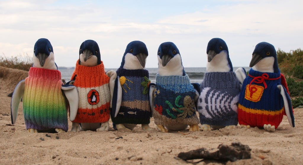 several penguins standing on a beach wearing jumpers