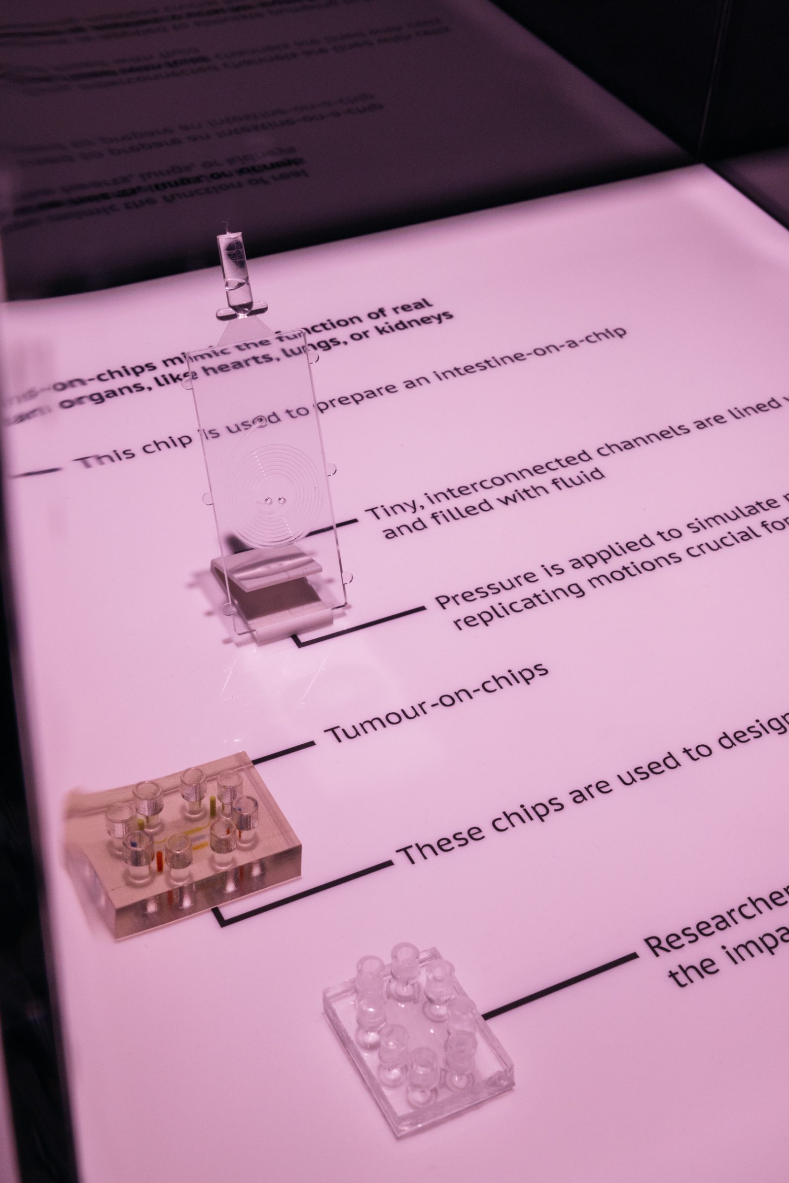 Bodification MOD bodification-mod