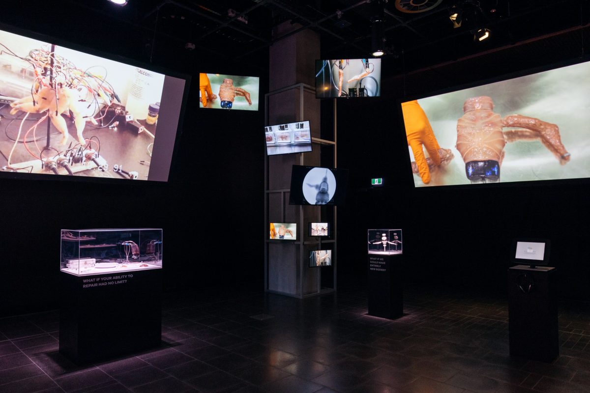 A wide shot of the gallery showing multiple digital screens with science looking shots of bio-engineering. Plinths are also in the space with objects related to wound healing and a model of OSCAR a bioengineered organism