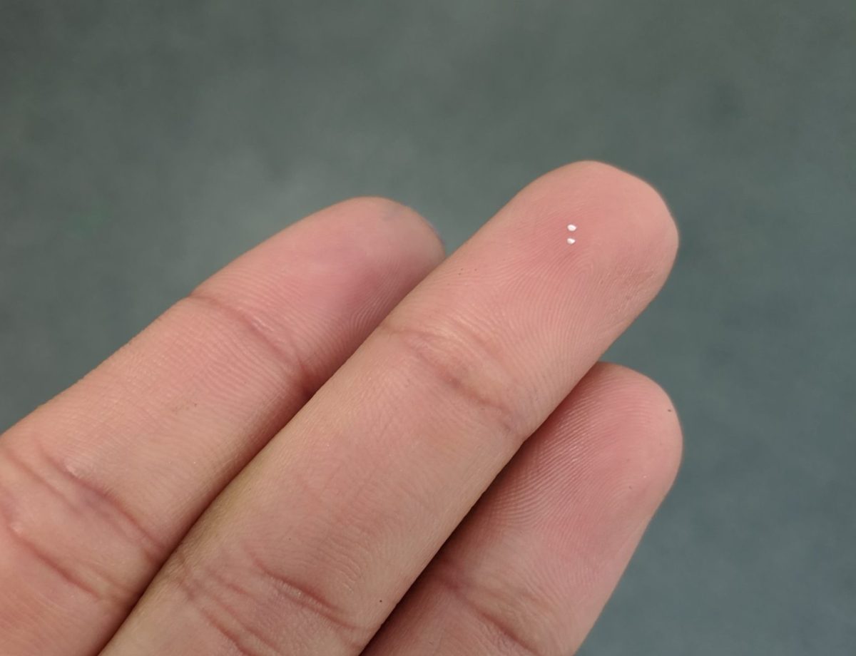 A close up of a hand with two small white dots on one of the fingers. These dots are the statoliths.