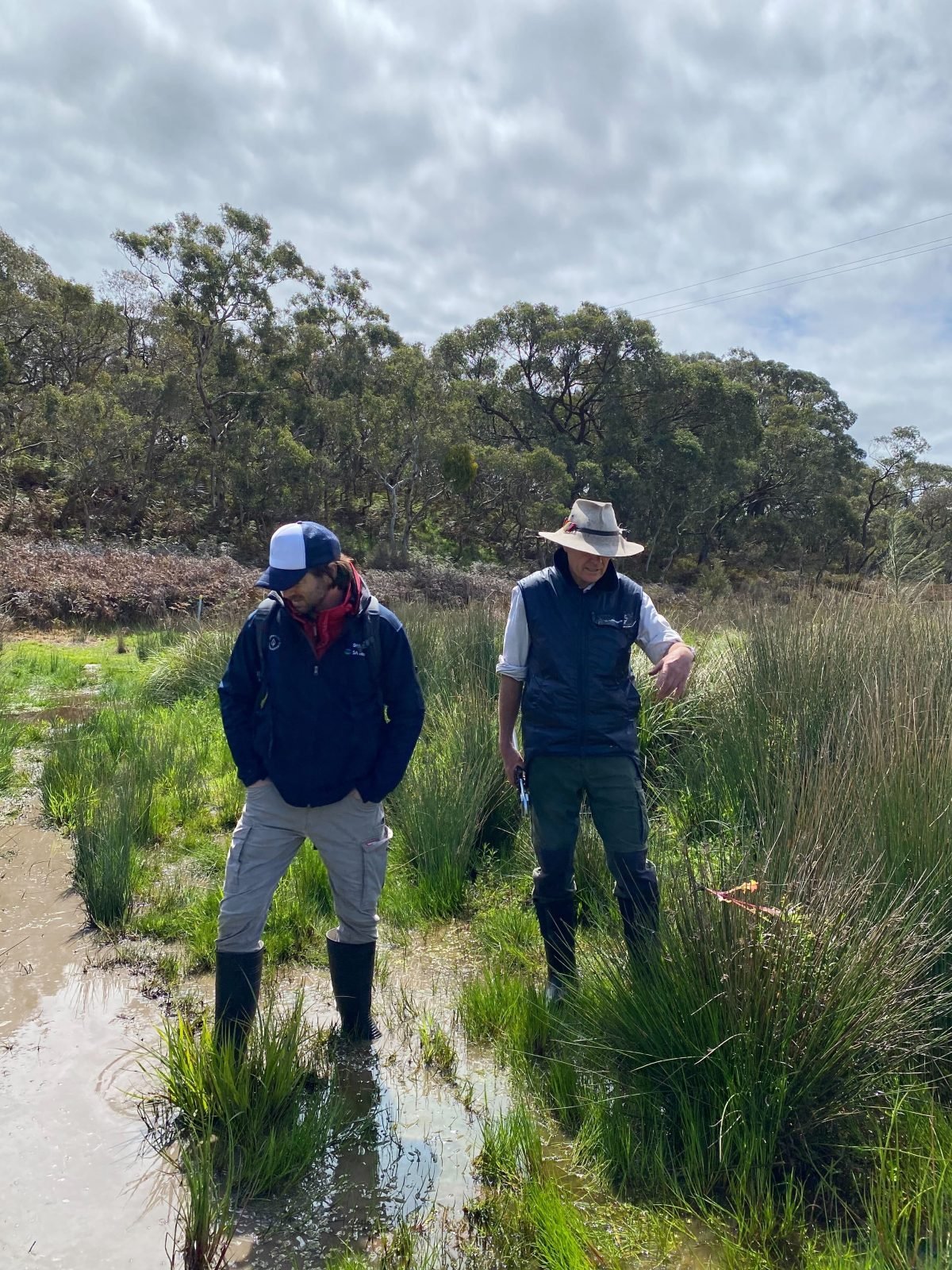 Two men (a participant named Shaun and John) are standing in ankle deep water surrounded by scrubs, with larger trees in the background.