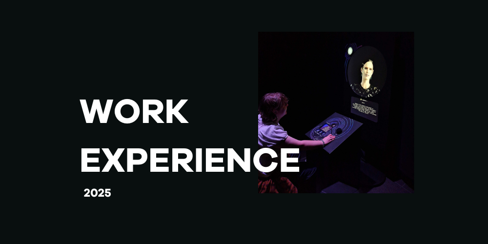 WORK EXPERIENCE 2025