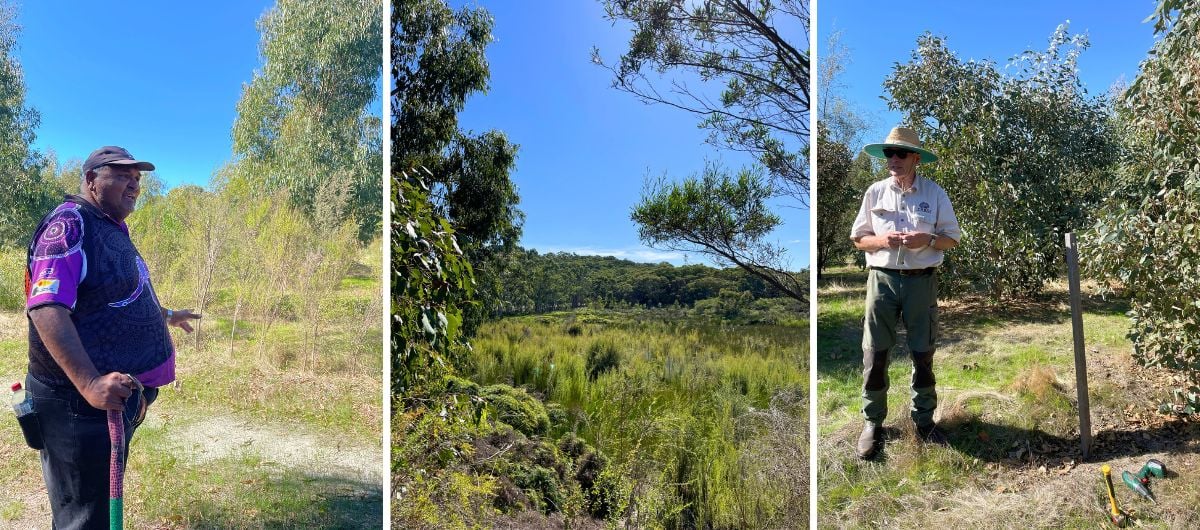 A banner containing three portrait oriented images separated by white lines. From left to right: A man with a colourful walking stick is pointing to the trees and land behind him, he is talking. An image of a flourishing and diverse wetland ecosystem. An image of a person wearing a wide brimmed hat, holding something in their hands as they talk. A post is next to them and there are tools on the ground.