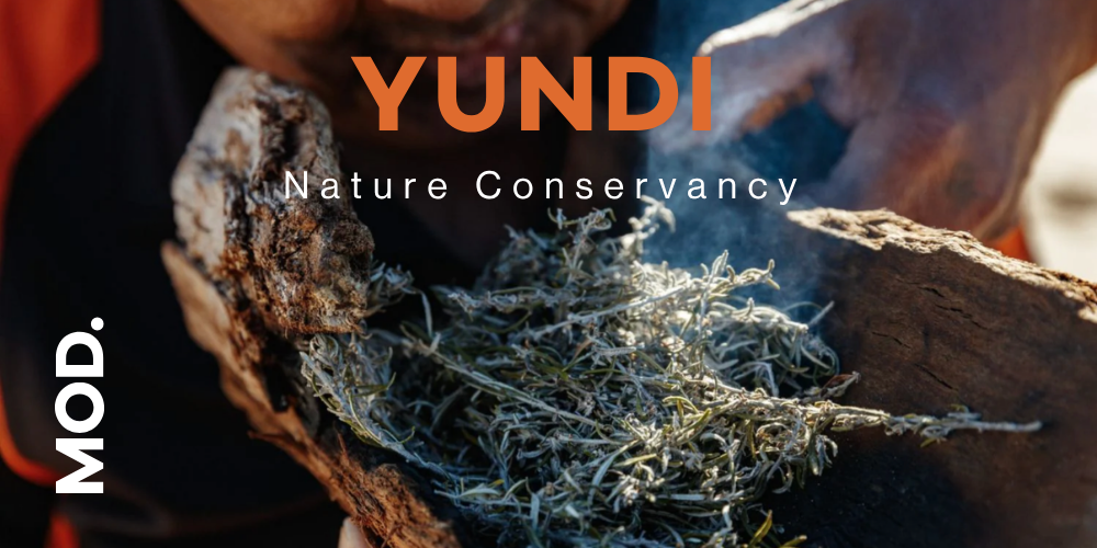 Yundi Field Trip 2026