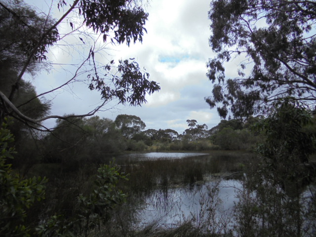 Nature Festival: Field Trip to Yundi Nature Conservancy with MOD.